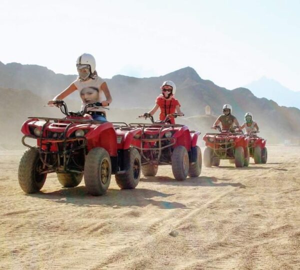 Super Safari Quady