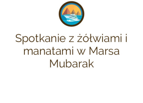 Spotkanie z żółwiami i manatami w Marsa Mubarak