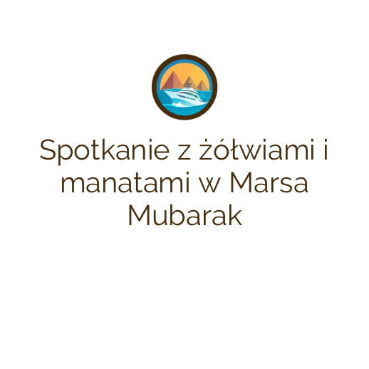 Spotkanie z żółwiami i manatami w Marsa Mubarak